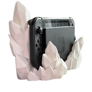 Home Nintendo accesoires